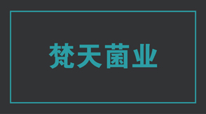 食品行业黄冈冲锋衣设计款式